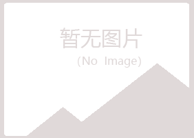 广昌县忆伤工程有限公司